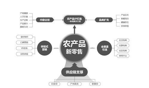 農(nóng)業(yè)生鮮電商如何突圍 供應(yīng)鏈服務(wù)體系的重要性