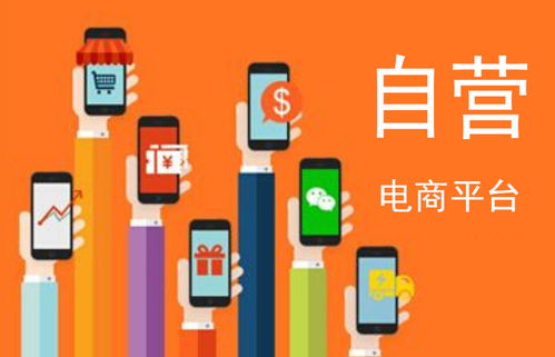 自營(yíng)電商下一步該怎么走